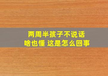 两周半孩子不说话 啥也懂 这是怎么回事